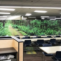 8’ x 40’ full color printed wall mural installed in Everett Washington